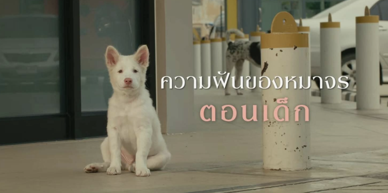 Screenshot 2569-04-17 at 12.42.47.png